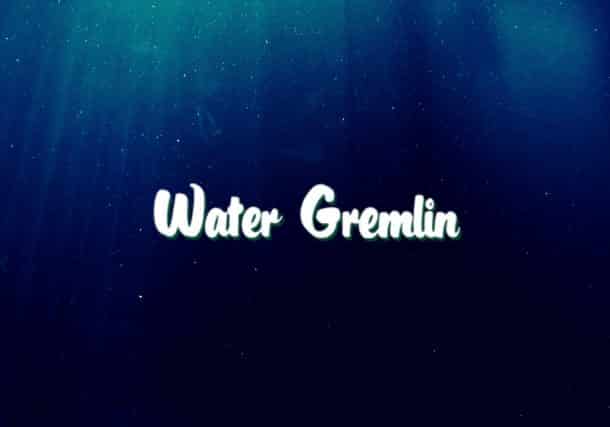 Walmart Announces That It Will Stop Selling Water Gremlin Products
