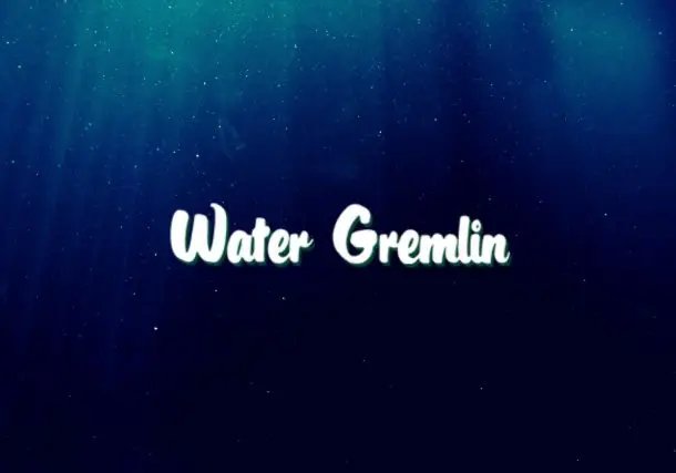 Walmart Announces That It Will Stop Selling Water Gremlin Products